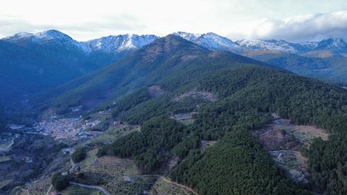El Castaño